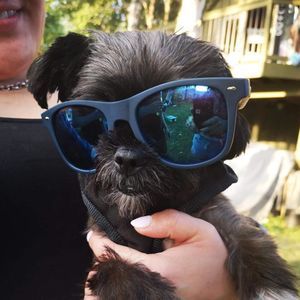 Meet your Posher, Leanne